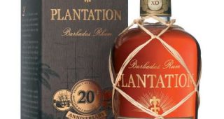 photo plantation xo 3.2017